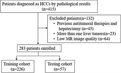 Modality-based attention and dual-stream multiple instance convolutional neural network for predicting microvascular invasion of hepatocellular carcinoma